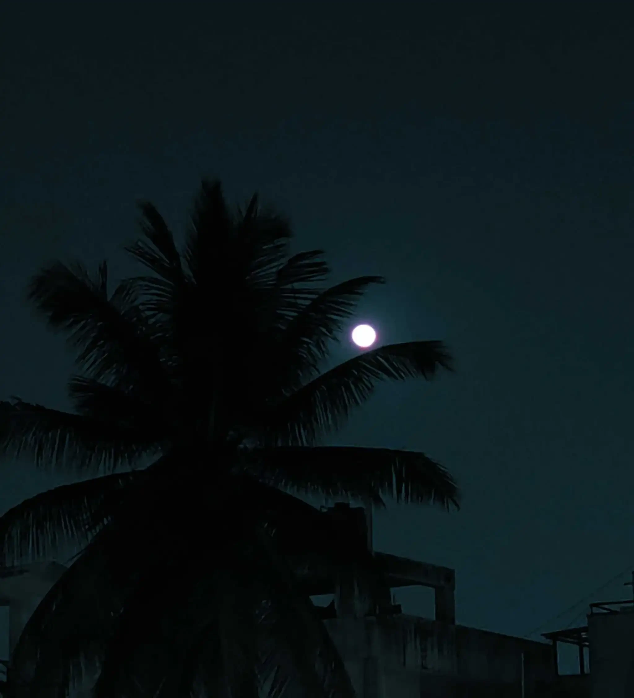 Photo from Anurag Bevinal's personal gallery (4)