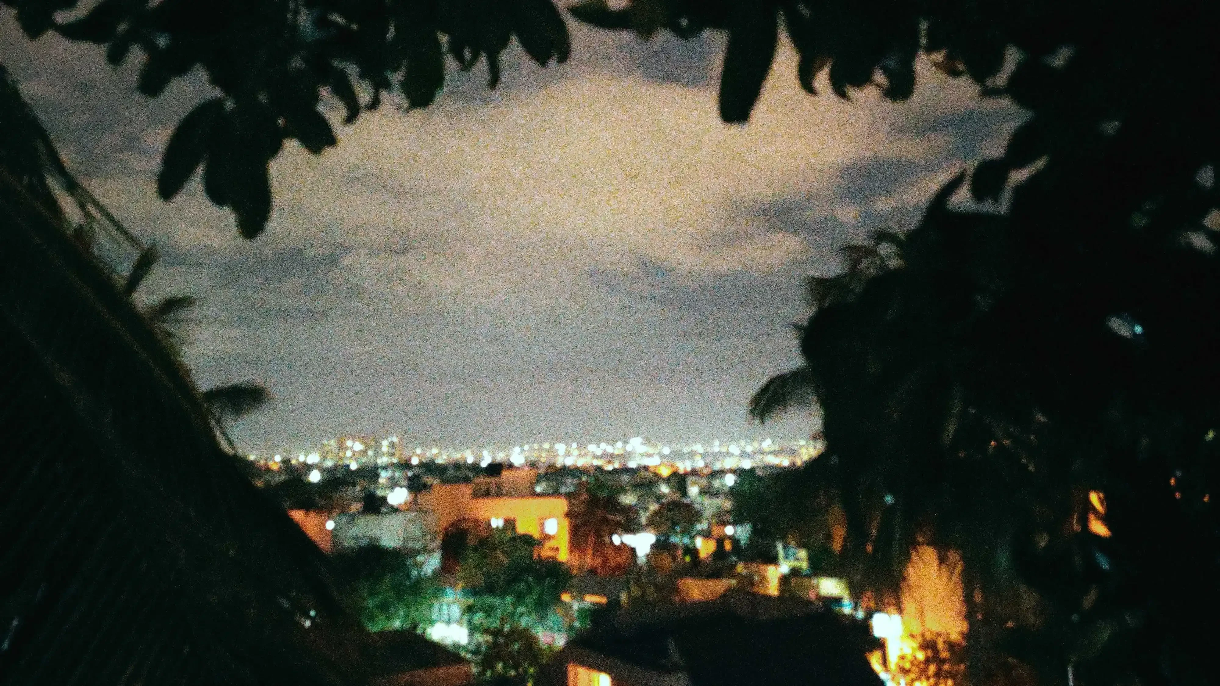 Photo from Anurag Bevinal's personal gallery (5)