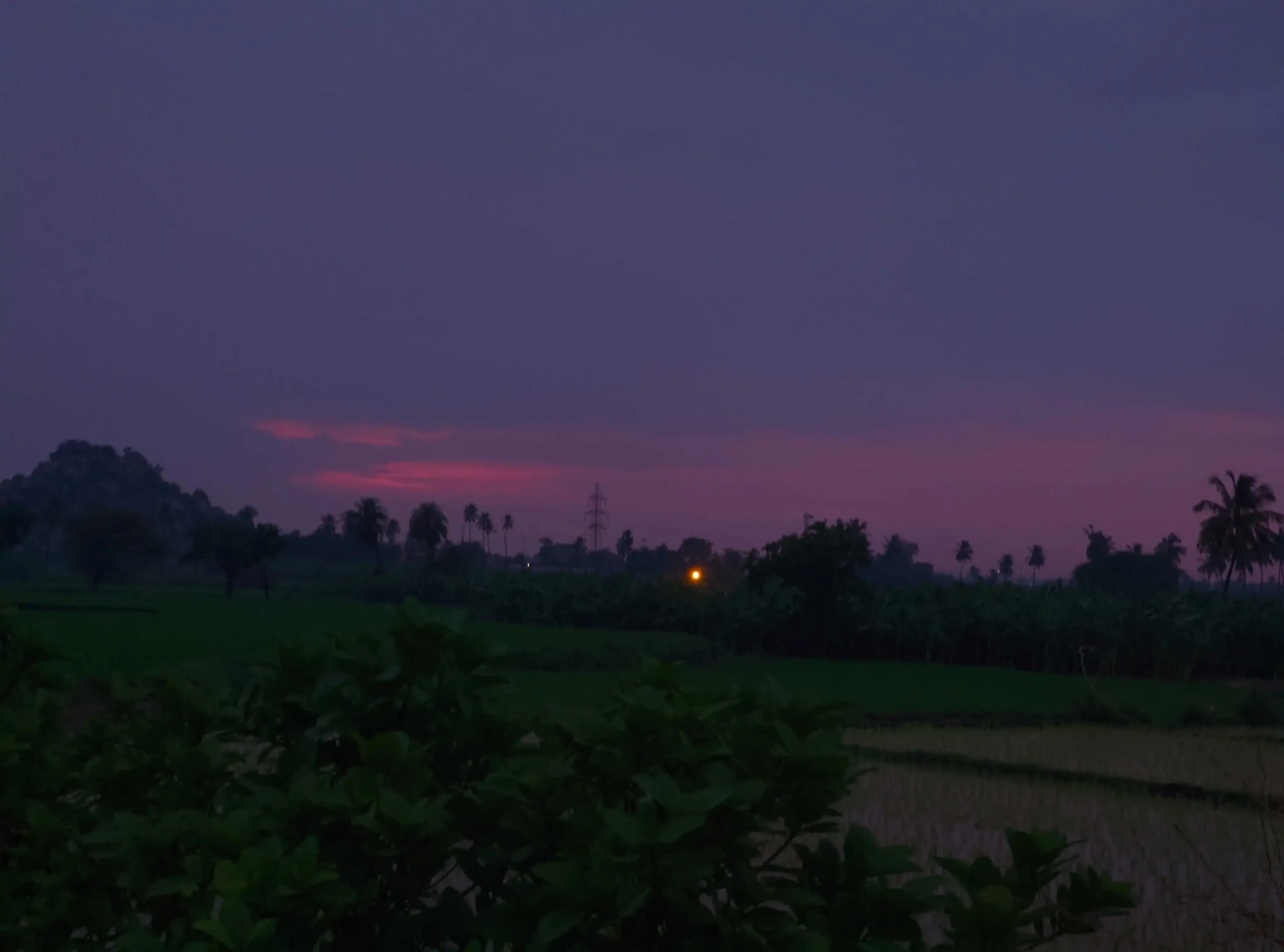Photo from Anurag Bevinal's personal gallery (6)