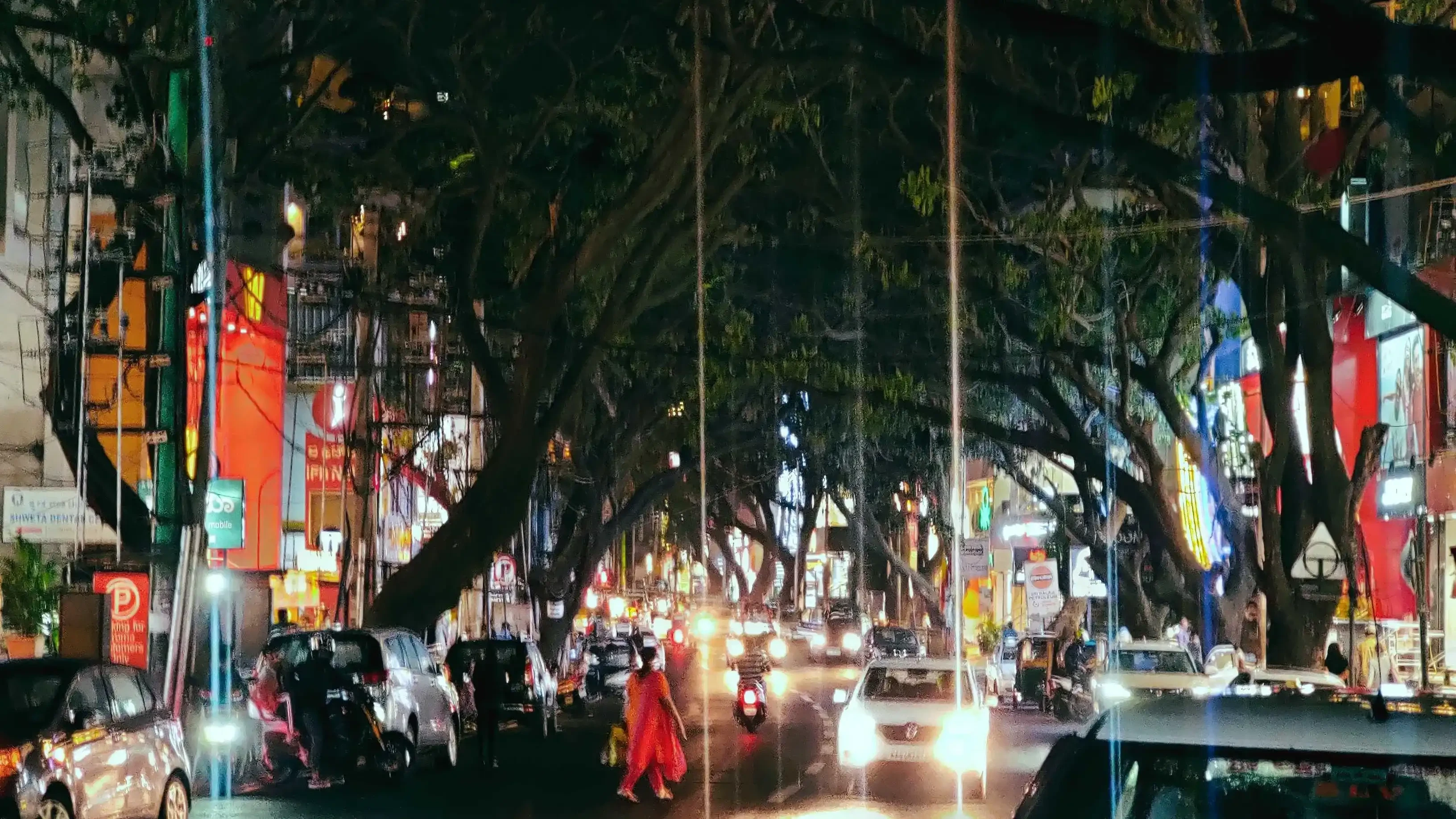 Photo from Anurag Bevinal's personal gallery (9)